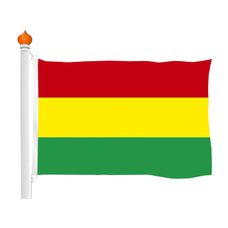 Carnival flag