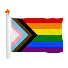 Progress pride flag