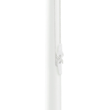 Flagpole Frog