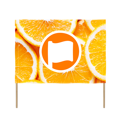 Banner with stick