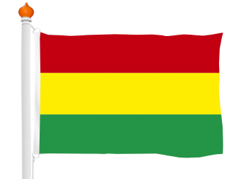 Carnival flag