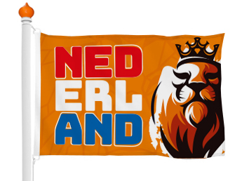 European Championship 2024 flag
