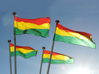 Themed flags