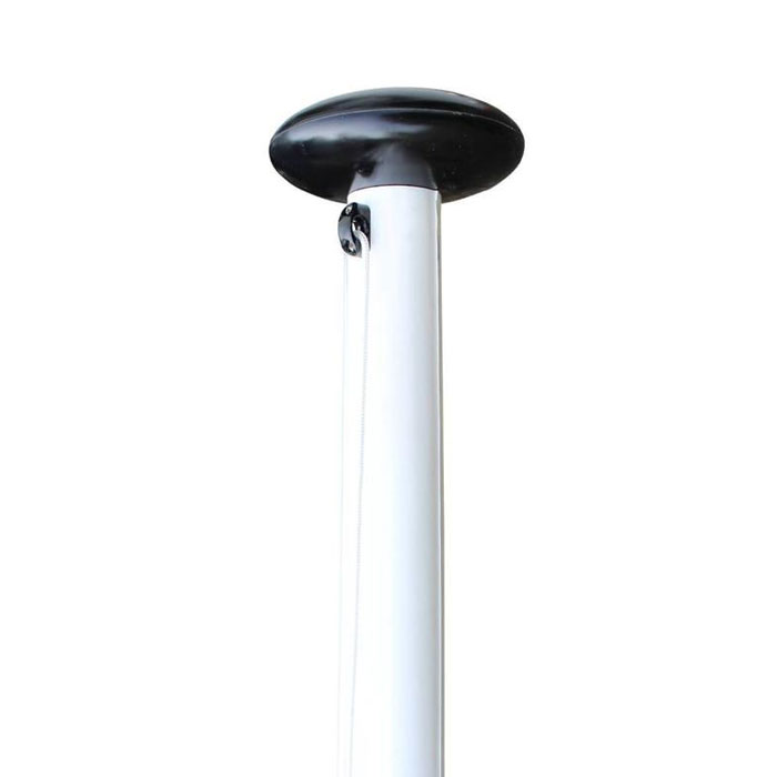 Flagpole Frog